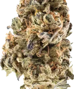 Mango Kush