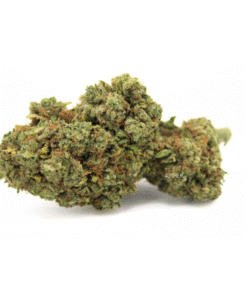 Acapulco Gold | Hydro | 25% Delta BZ10