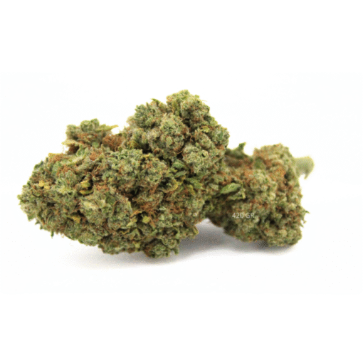 Acapulco Gold | Hydro | 25% Delta BZ10