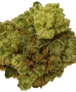 Afgański Kush