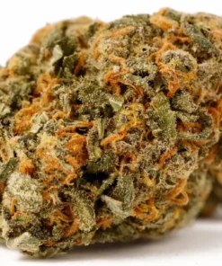 Gorilla Zkittlez