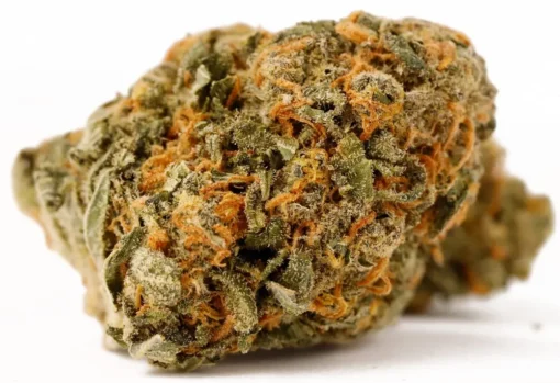 Gorilla Zkittlez