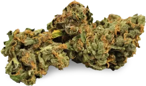Island Sweet Skunk