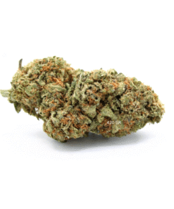 Jack Herer | W pomieszczeniu | 15% Delta BZ10