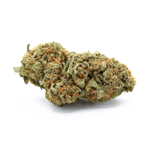 Jack Herer | W pomieszczeniu | 15% Delta BZ10
