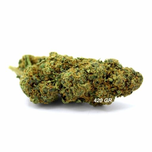 Bomba atomowa | Hydroponika | 11% 10-OH-HHC